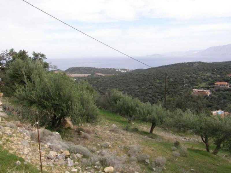 Agios Nikolaos Kreta, Agios Nikolaos: Ländliches Baugrundstück mit Panoramablick auf das Meer Grundstück kaufen